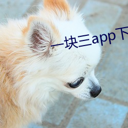 一塊三app下載