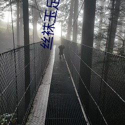 丝袜玉(玉)足小说