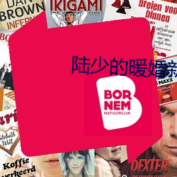 陆少的暖婚新妻小说