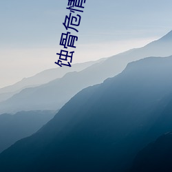 蝕骨危情小說