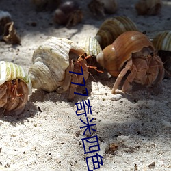 777奇米四色眼影九色 （明婚正配）