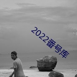 2022番號庫