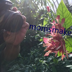 momsmakeporn