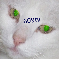 609tv