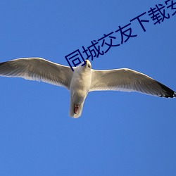 米乐M6·(中国)官方网站