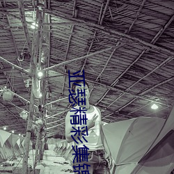 亚瑟精彩集锦(jn)
