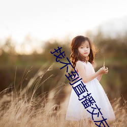 找不到直播交友