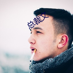 总(zǒng)裁文