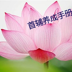 首辅养成手册(冊)