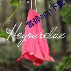 尊龙凯时·(中国)官方网站