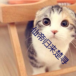仙帝歸來楚尋