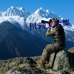 BL辣文合集