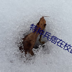 AG真人平台(中国)官方网站