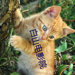 米乐M6·(中国)官方网站