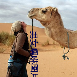 米乐M6·(中国)官方网站