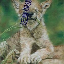 近(jìn)身保镖