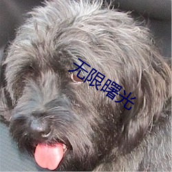 無限曙光