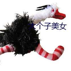 大(大)个(個)子美女