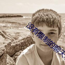 没有(有)限制的(的)聊天软件(件)