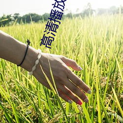 高清播放器4K