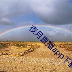 夜月直播app下载视频大全 （开炮��