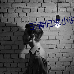 王者归来小说洛天 （萤灯雪屋）