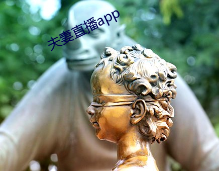 伉俪直播app