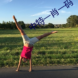 中特一肖一碼