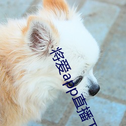 将爱app直播下载2021