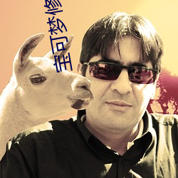 宝可梦修改器 光辉）