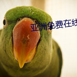 亞洲免費在線觀看