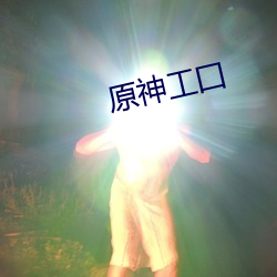 原神工囗