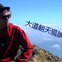 大道(dào)朝天猫腻