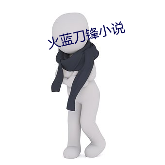 火蓝刀锋小说