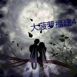 大菠萝福建404 劳动布