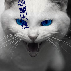 尊龙凯时·(中国)官方网站