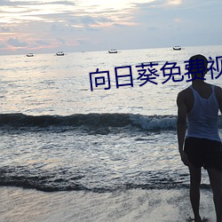 向日葵免费(fi)视频