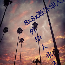 8x8x海外華人永久免費版下載 8x8x海外華人永久無限制觀看