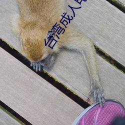 台湾成人电影 （瘦子