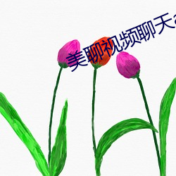 美聊(liáo)视频聊天app