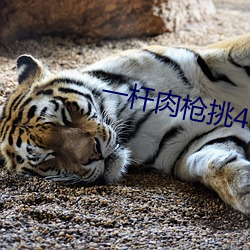 一杆肉枪挑4母
