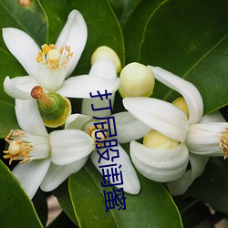 918博天堂·(中国)手机版客户端