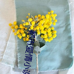 AG真人平台(中国)官方网站