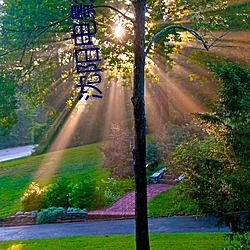 沈(沈)阳电影院