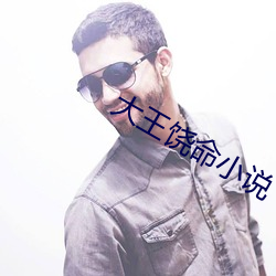大(dà)王饶命小(xiǎo)说