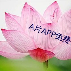 A片APP免費看