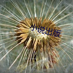 小说出版