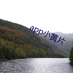 app小黄片 （借水行舟）