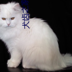 犬齿之家(ji)