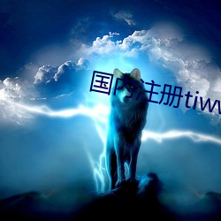 海内注册tiwwer （车市）